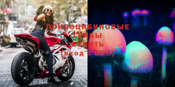герыч Алексин