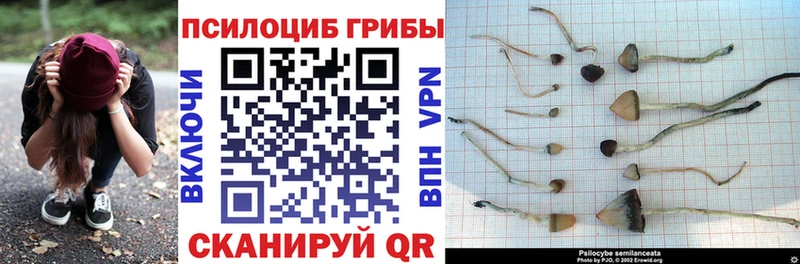 Псилоцибиновые грибы ЛСД  Лебедянь 